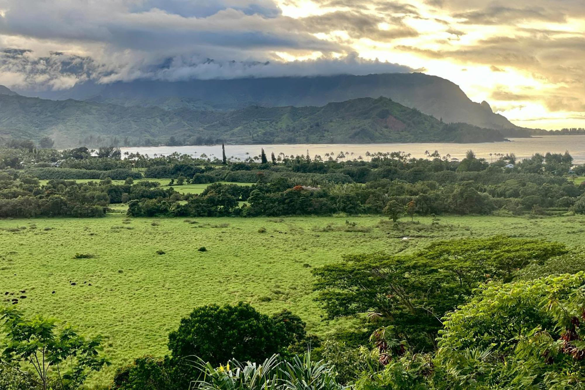 View House Tower! Vila Princeville Exterior foto